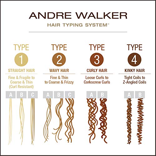 andré walker hair typing system