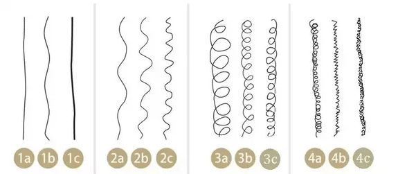 classification mèche de cheveux 